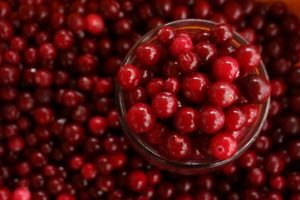 Cranberries in bowl